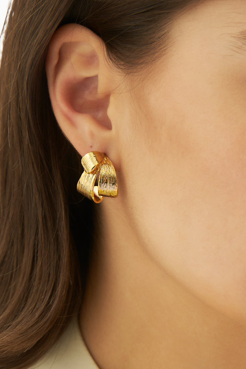 Chrysanthemum Studs
