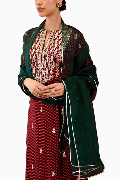 Paisley Moli Kurta Set