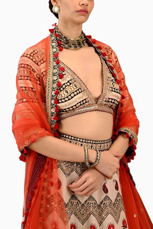 Paisley Tammana Lehenga Set