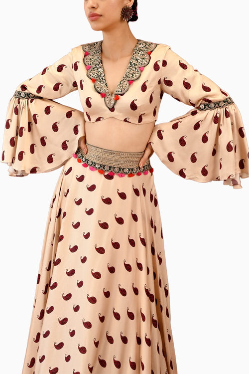 Paisley Veena Lehenga Set