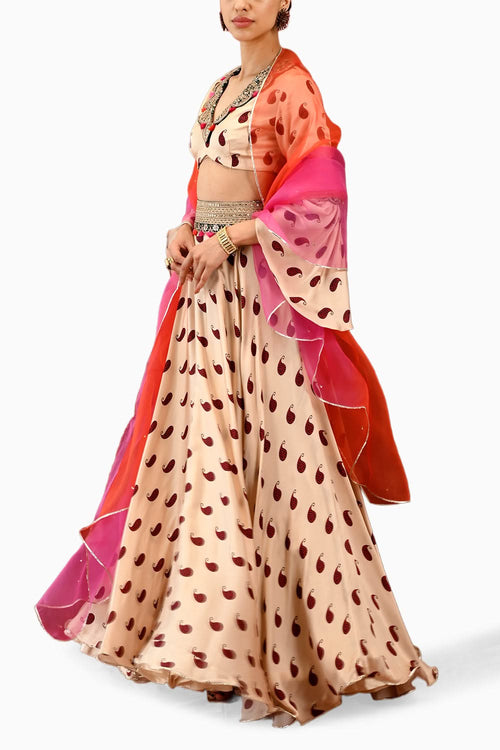 Paisley Veena Lehenga Set