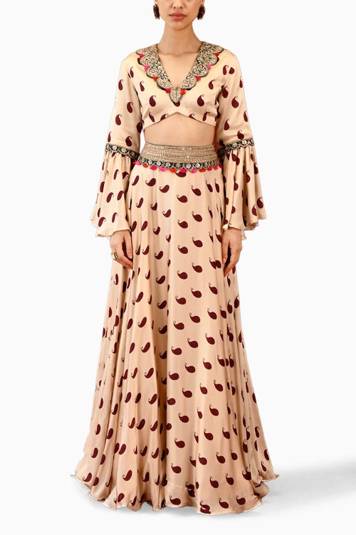Paisley Veena Lehenga Set