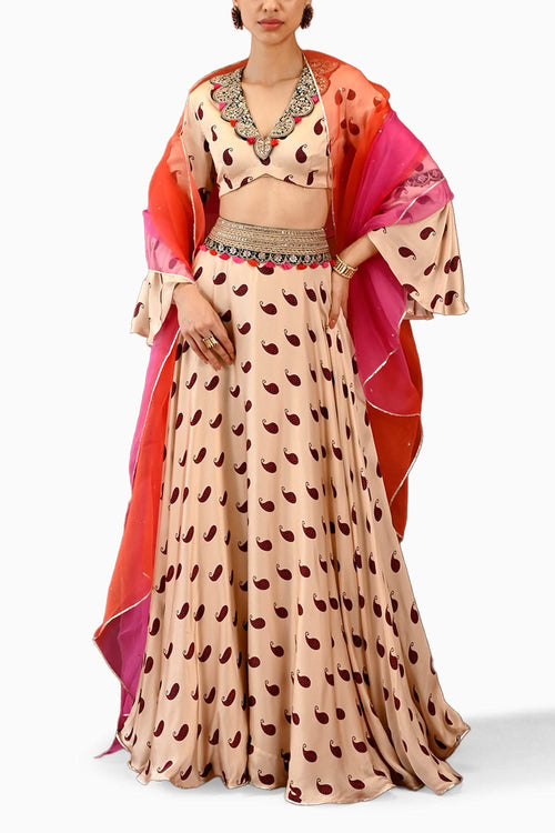 Paisley Veena Lehenga Set
