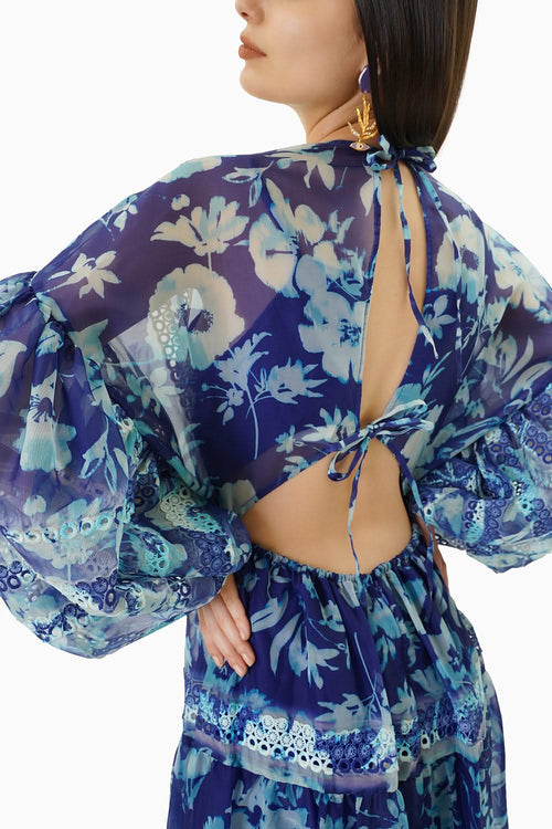 Blue Printed Berberis Dress