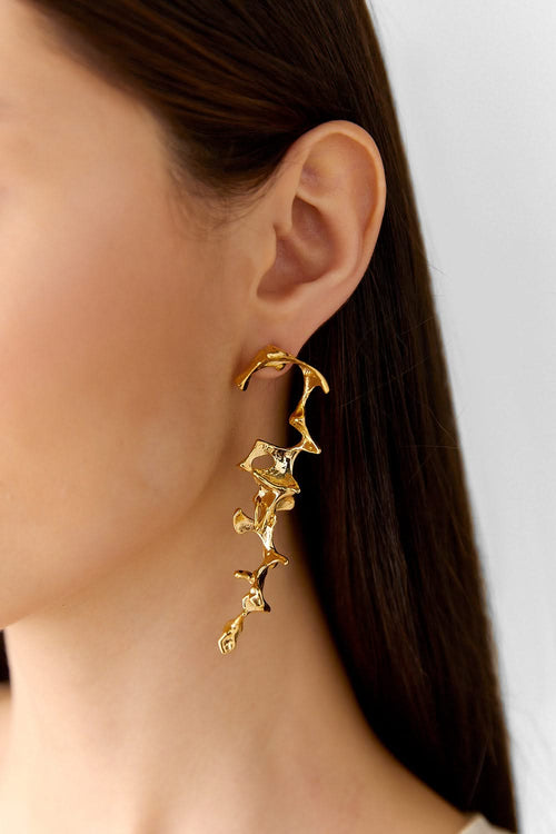Seahorse Earrings