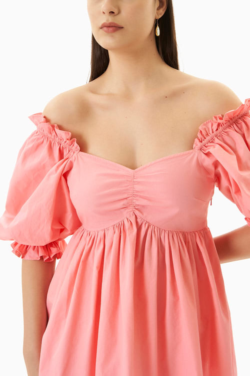Daya Top