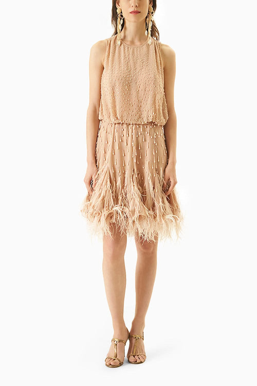 Blush Haze  Dress