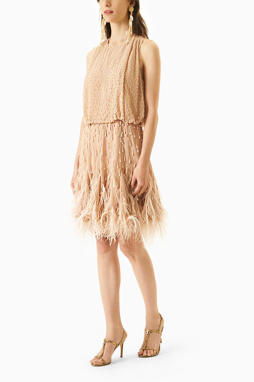 Blush Haze  Dress