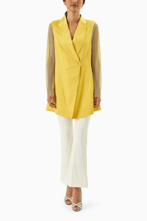 Yellow Blazer with Net Sleeves