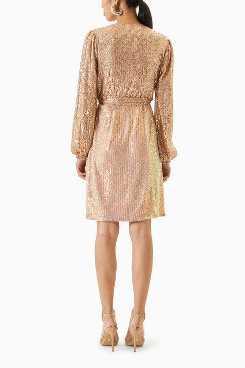 Champagne Wrap Sequin Dress