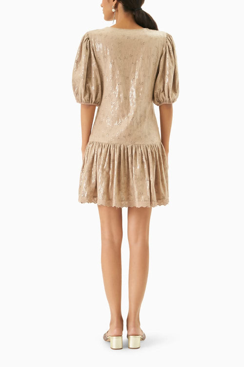 Nude Dazzle Dress